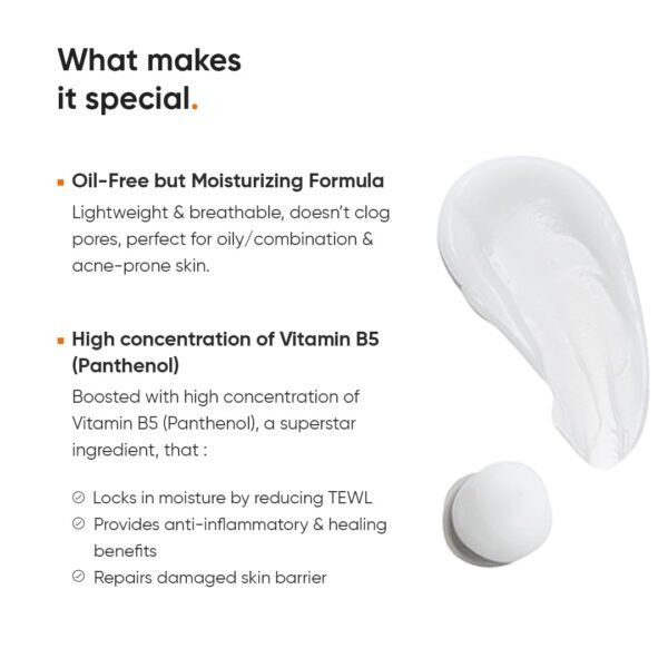 51VFY-583GL._SL1080_ Minimalist Vitamin B5 10% Moisturizer 50g | Minimalist Dehydrated Skin & Damaged Barrier Repair Moisturizer with 10% Vitamin B5 | Oil-Free Hydration & Lightweight Gel Formula | Fast-Absorbing & Non-Sticky Lightweight Winter Cream For Women & Men | Fragran