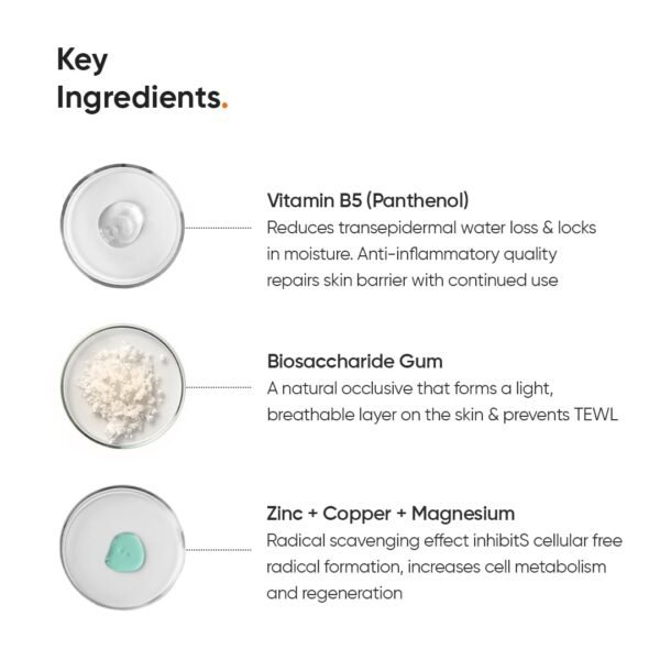 61ZfwQkaO0L._SL1080_ Minimalist Vitamin B5 10% Moisturizer 50g | Minimalist Dehydrated Skin & Damaged Barrier Repair Moisturizer with 10% Vitamin B5 | Oil-Free Hydration & Lightweight Gel Formula | Fast-Absorbing & Non-Sticky Lightweight Winter Cream For Women & Men | Fragran
