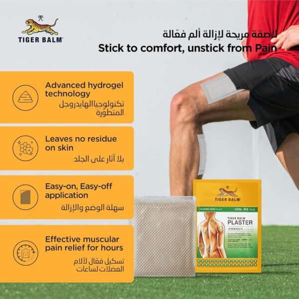 71GMmh00q1L._AC_SL1500_ Tiger Balm Medicated Plaster 2's Pack Warm/ Cool for Muscular Pain Remover