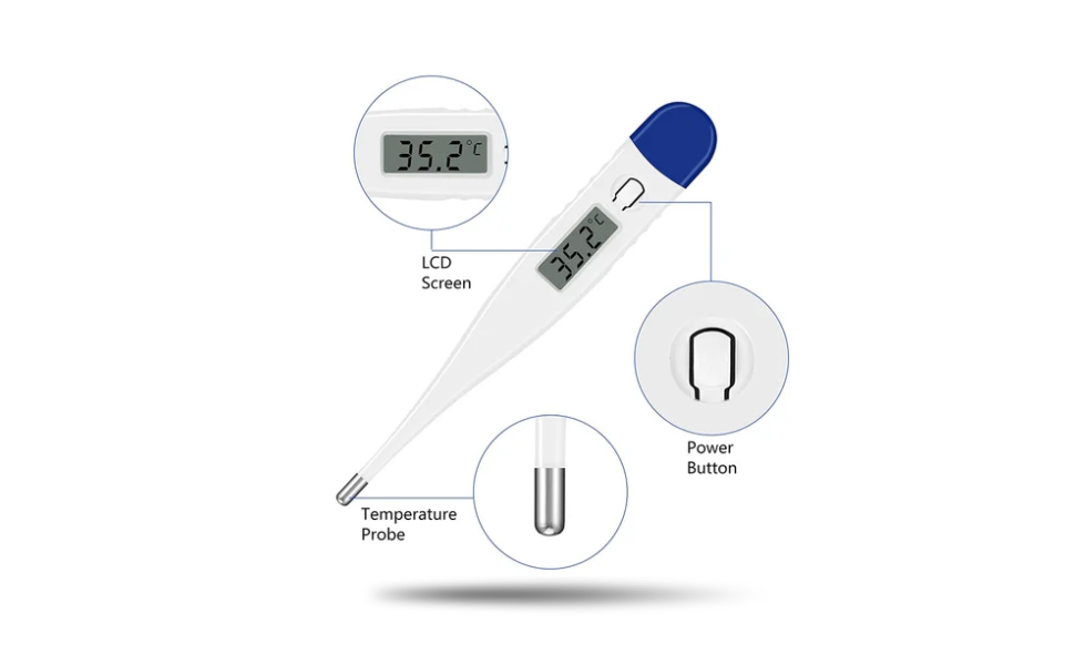 WB New Image (970 x 600 px) - 2026-08-27T180402.864 Digital Thermometer - Image 1