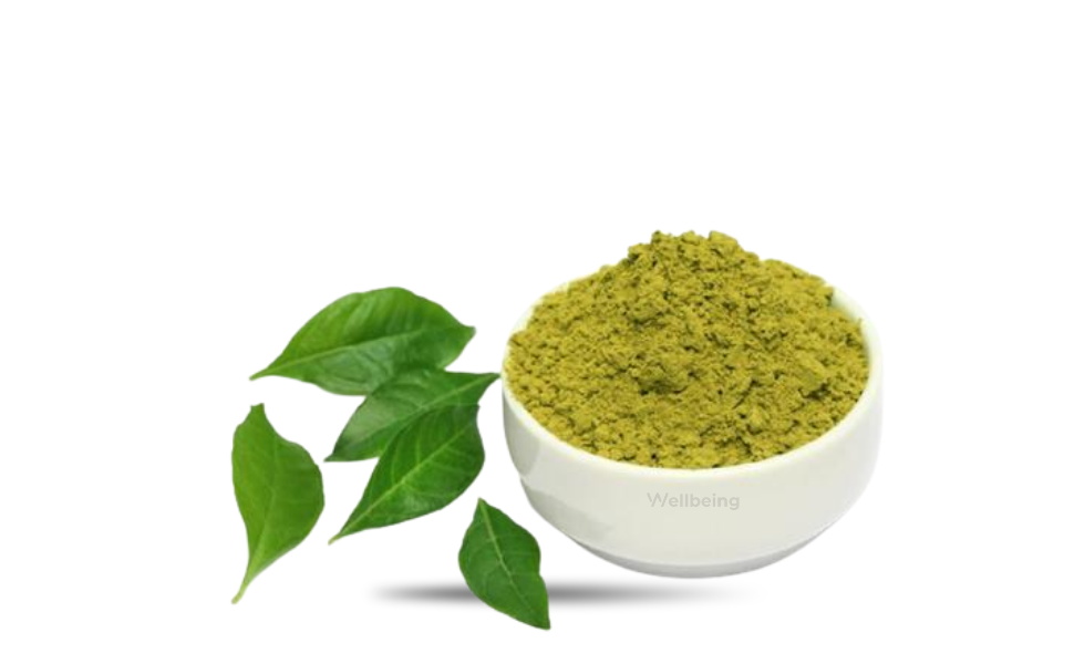 WB New Image (970 x 600 px) - 2026-09-02T143135.088 Nature Leaf Mehedi Pata Gura 100gm Jar - Image 1
