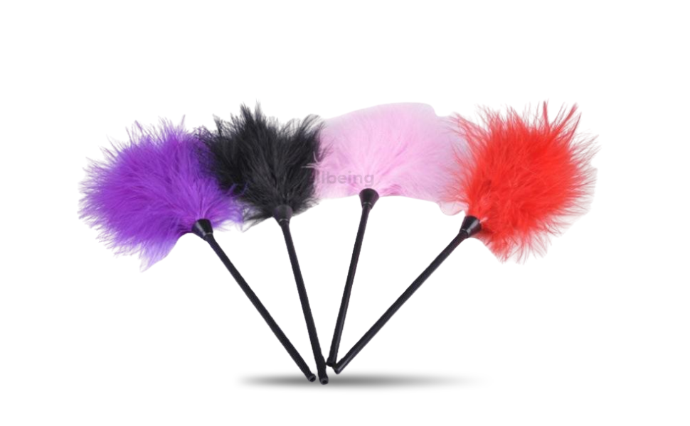 WB New Image (970 x 600 px) - 2026-09-12T171704.635 Flirting Feather for Adult Couples Adult Play | Multicolor - Image 1